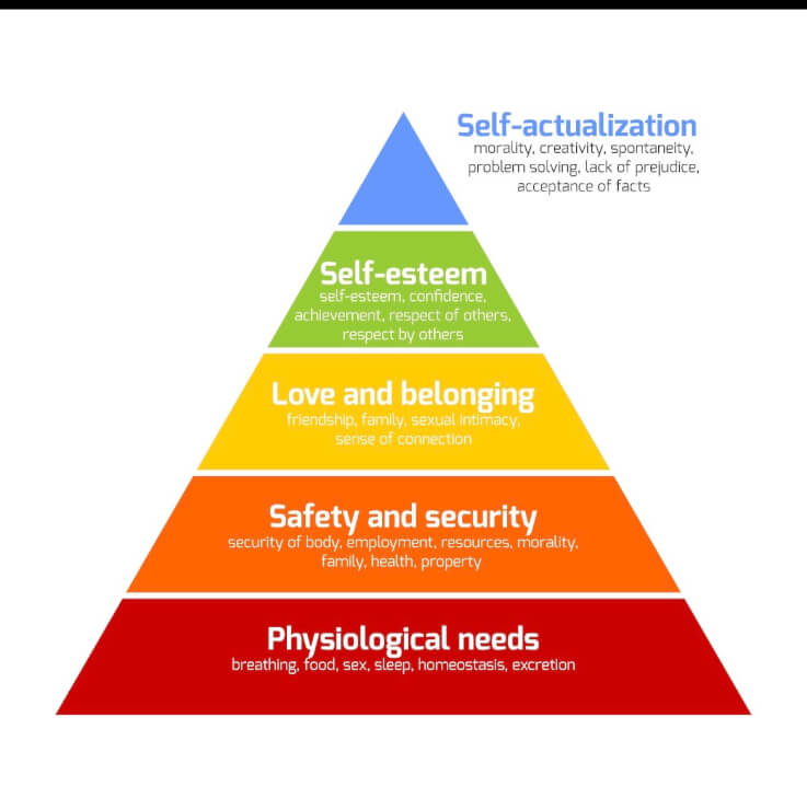 THE BISONGS CREATORS ACADEMY™