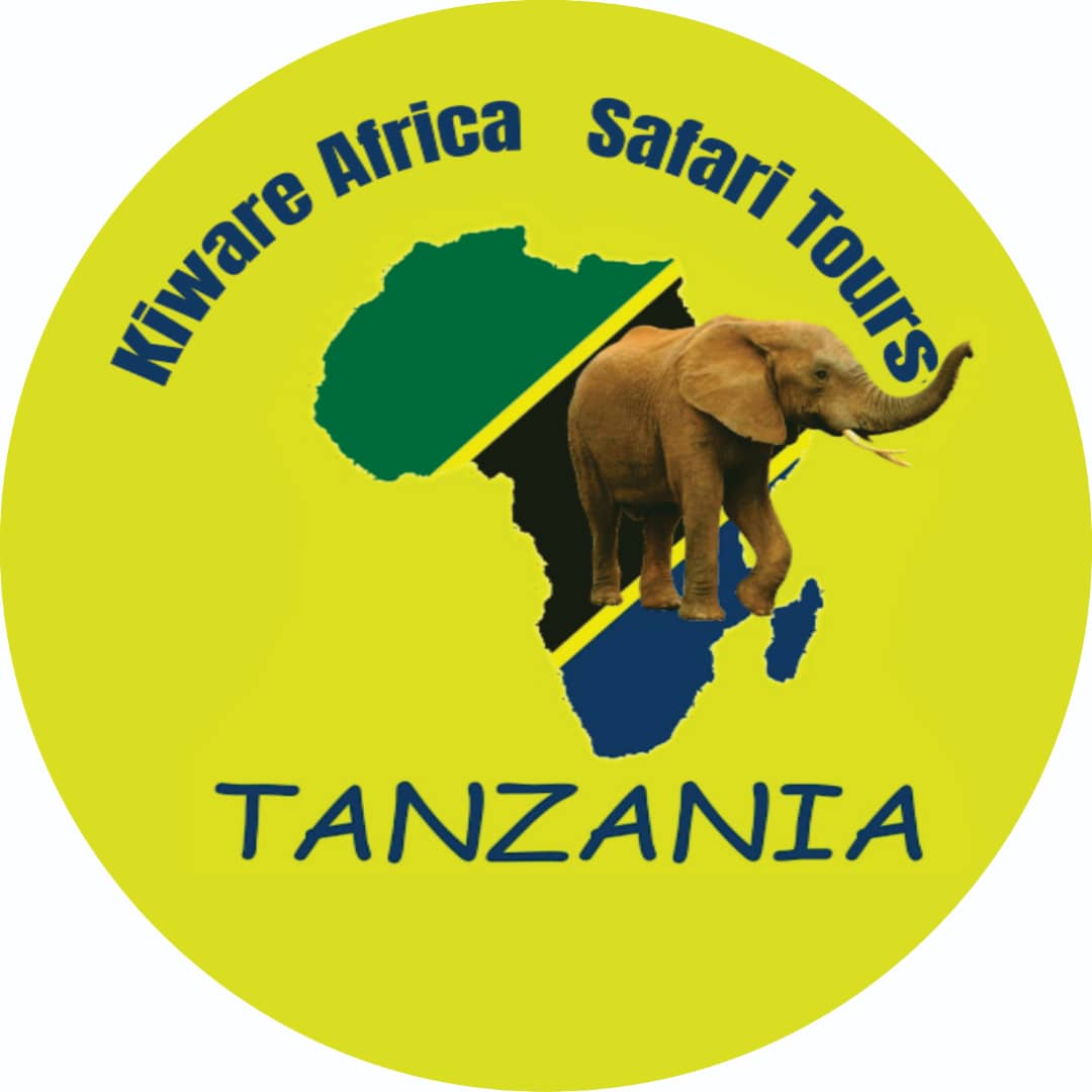kiwareafricasafaris