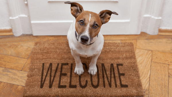 What Visitors Look for in the First 5 Seconds on Your Website
