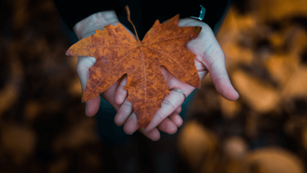 How to Stay Authentic When Everyone Is Selling